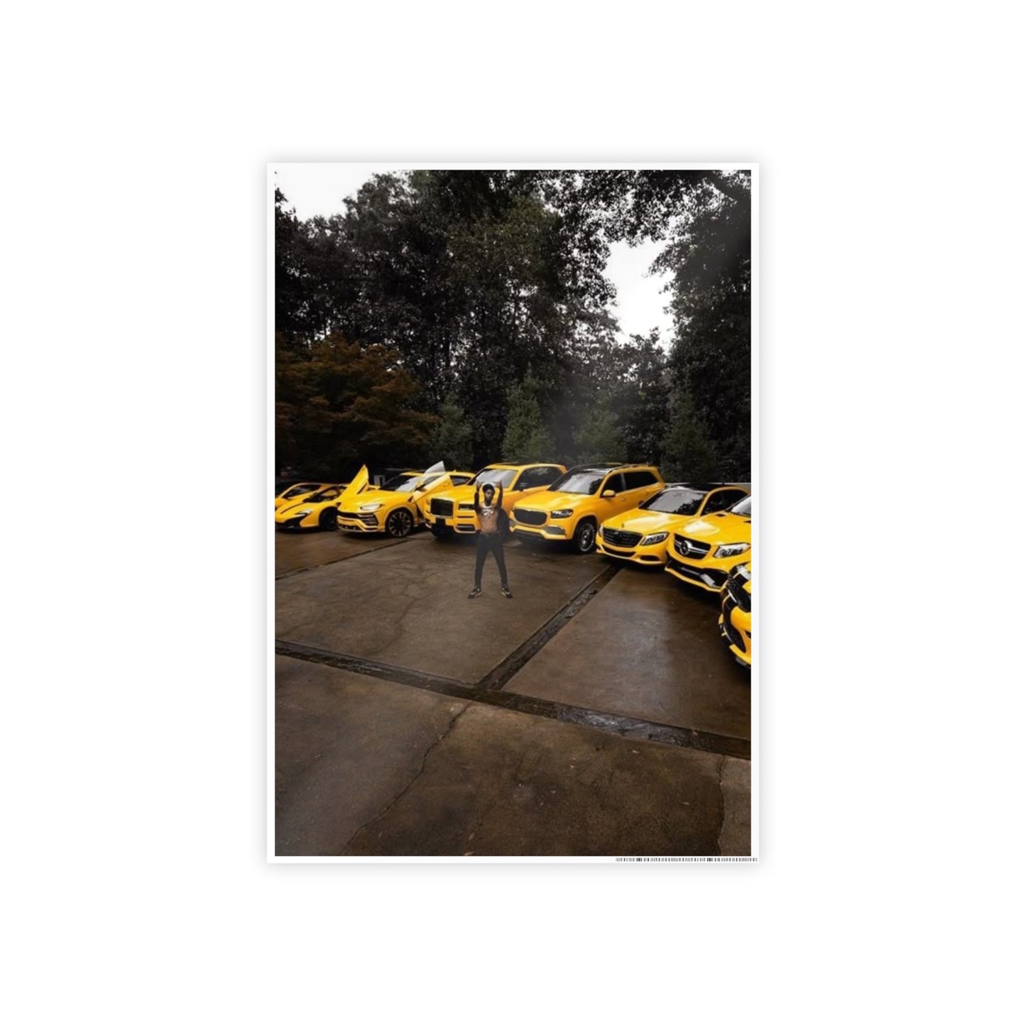 BUMBLE BEE COLLECTION KEY GLOCK POSTER