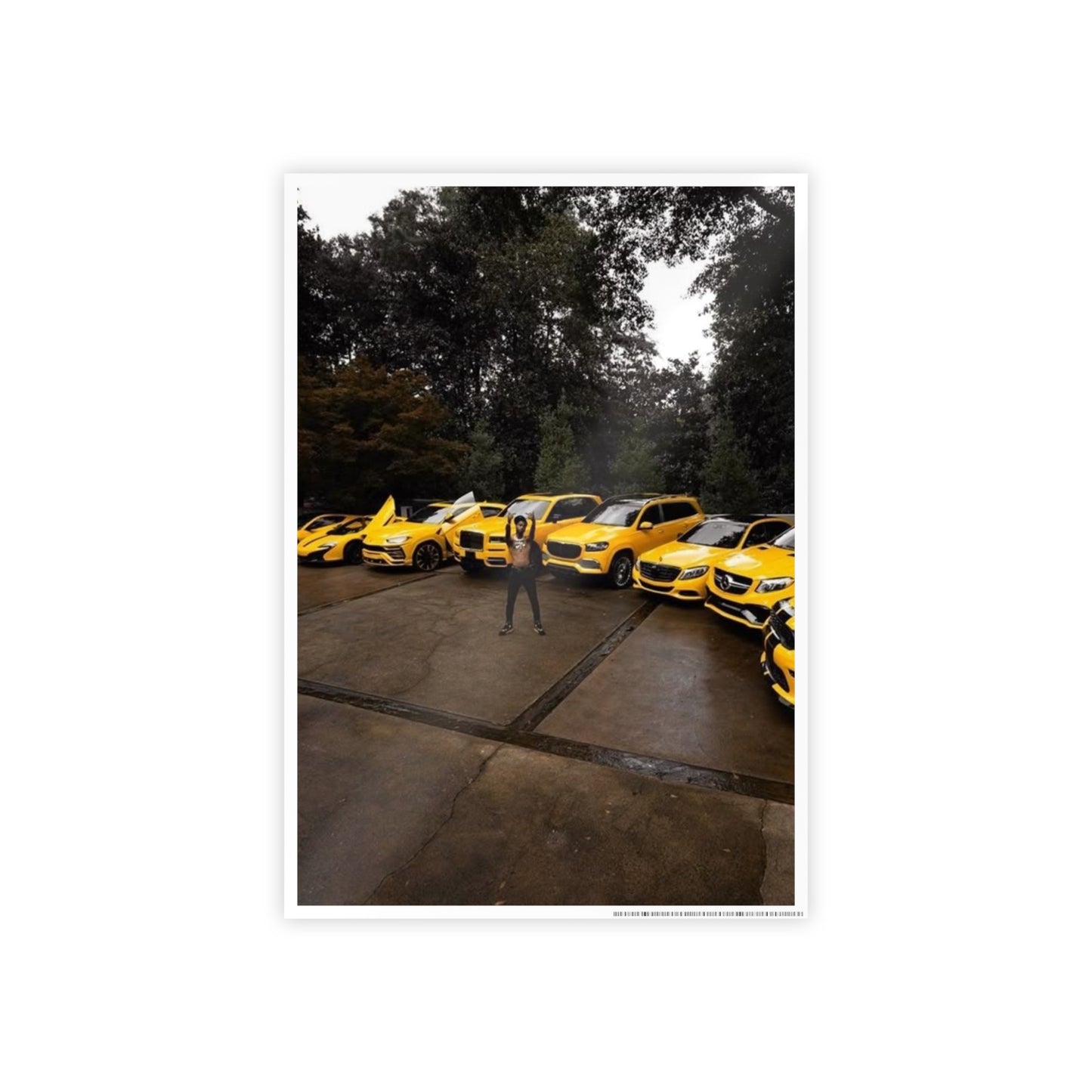 BUMBLE BEE COLLECTION KEY GLOCK POSTER