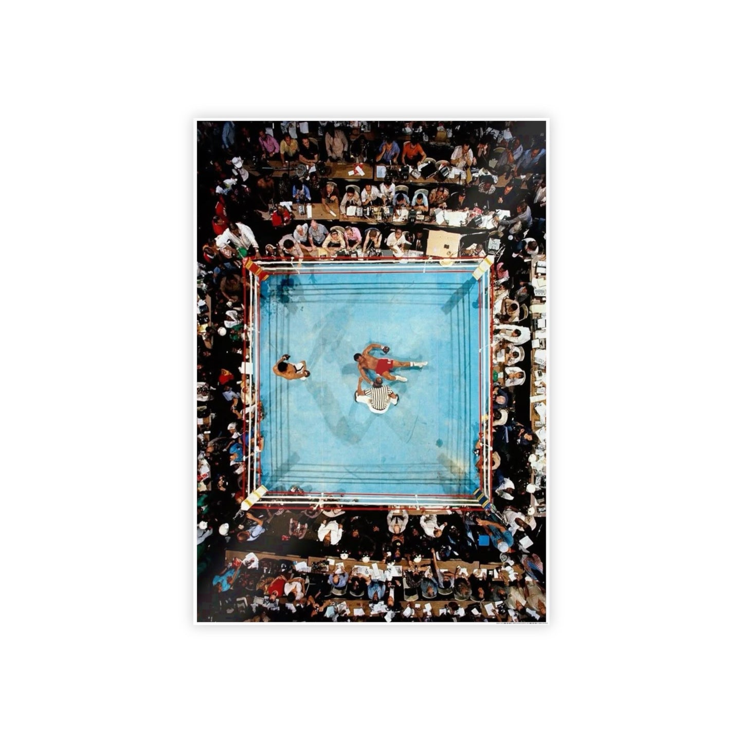 SHOCKED THE WORLD ALI POSTER